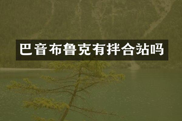 巴音布鲁克有拌合站吗
