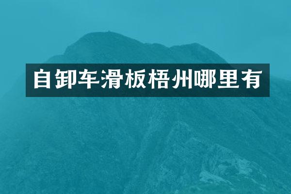 自卸车滑板梧州哪里有