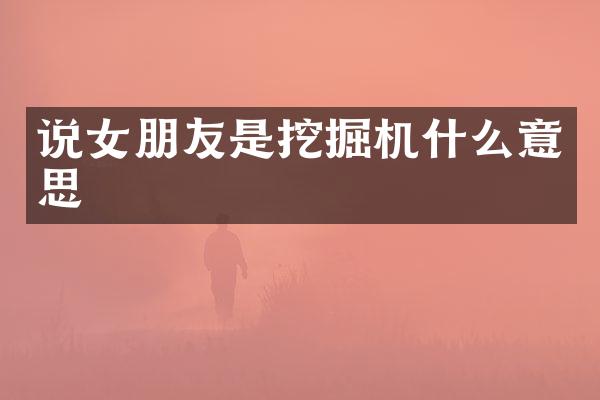 说女朋友是挖掘机什么意思