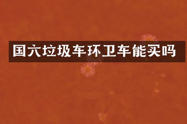 国六垃圾车环卫车能买吗