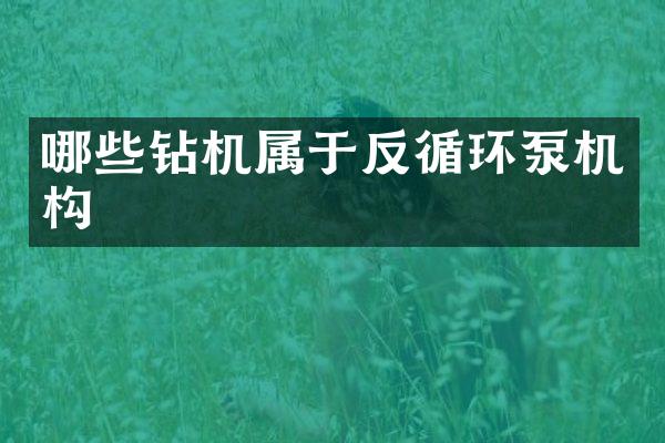 哪些钻机属于反循环泵机构