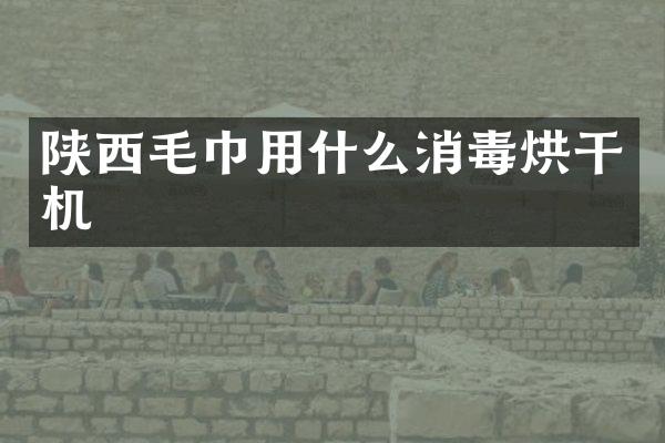陕西毛巾用什么消毒烘干机