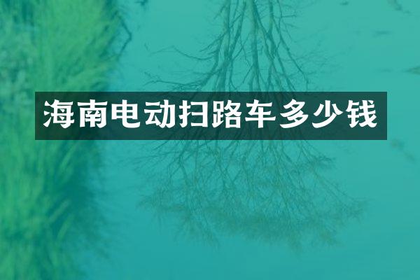 海南电动扫路车多少钱