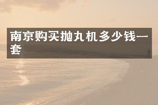 南京购买抛丸机多少钱一套