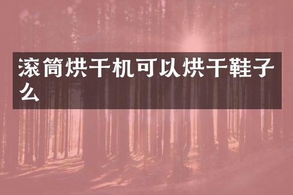 滚筒烘干机可以烘干鞋子么