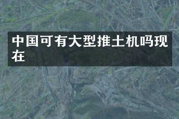中国可有大型推土机吗现在