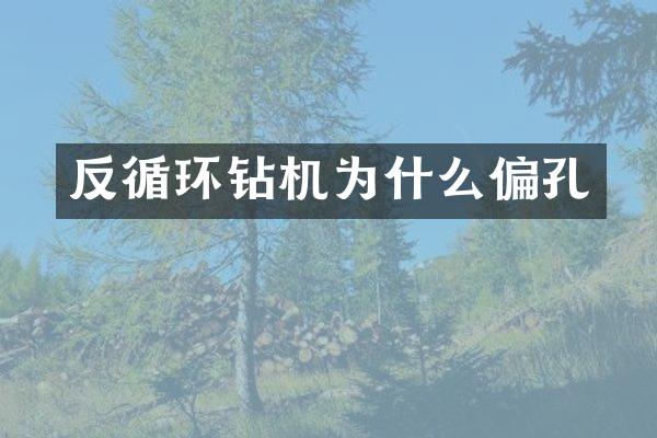 反循环钻机为什么偏孔