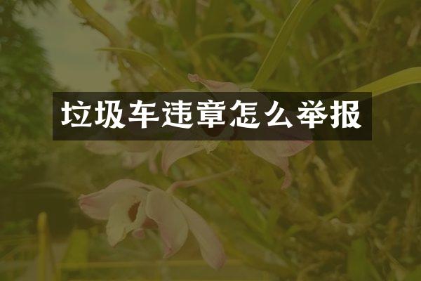 垃圾车违章怎么举报