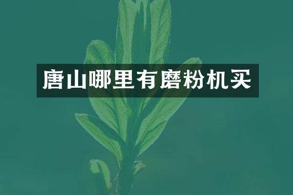 唐山哪里有磨粉机买