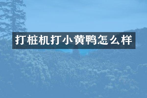打桩机打小黄鸭怎么样