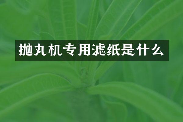 抛丸机专用滤纸是什么