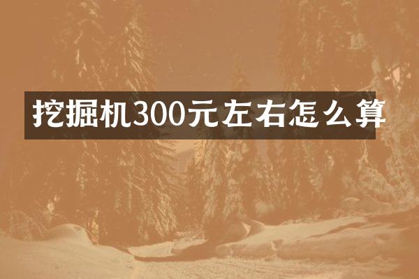 挖掘机300元左右怎么算
