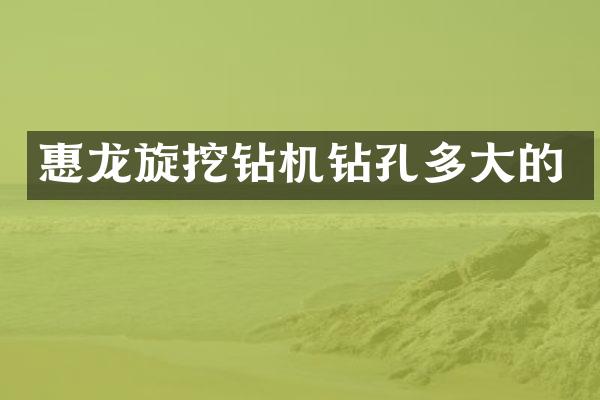 惠龙旋挖钻机钻孔多大的