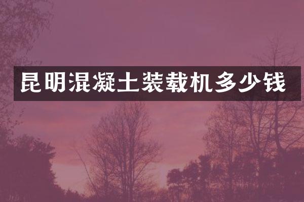 昆明混凝土装载机多少钱
