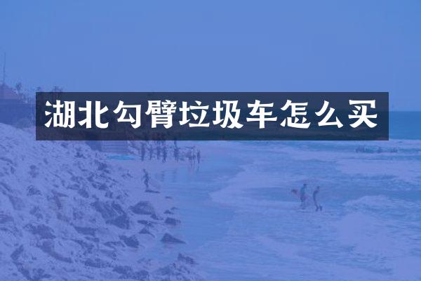 湖北勾臂垃圾车怎么买
