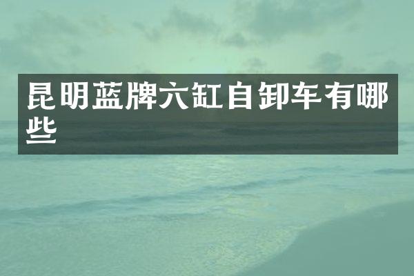 昆明蓝牌六缸自卸车有哪些