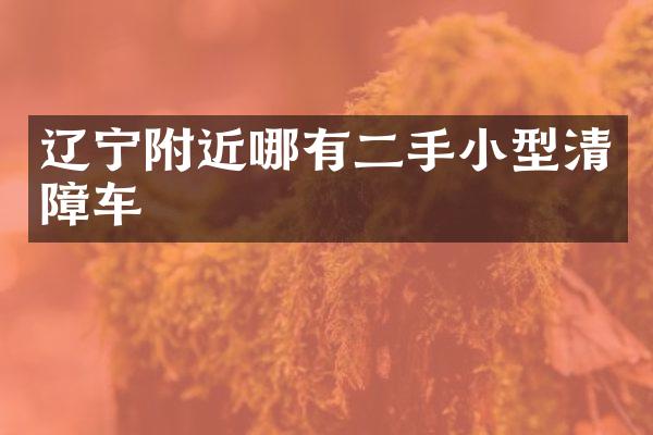辽宁附近哪有二手小型清障车