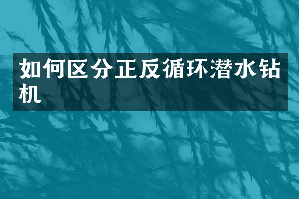 如何区分正反循环潜水钻机
