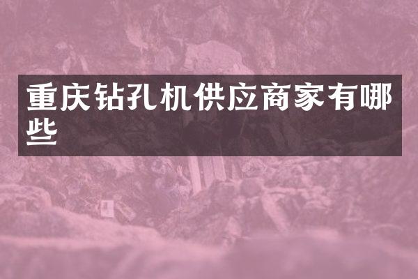 重庆钻孔机供应商家有哪些