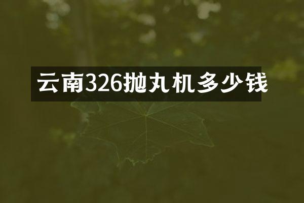 云南326抛丸机多少钱
