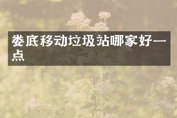 娄底移动垃圾站哪家好一点