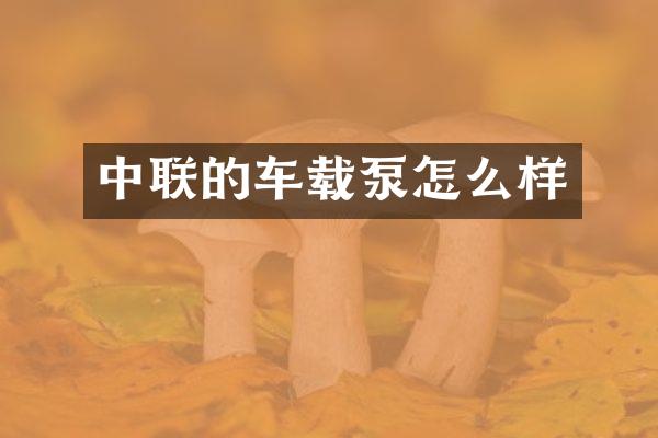 中联的车载泵怎么样