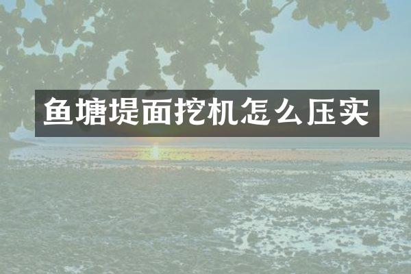 鱼塘堤面挖机怎么压实