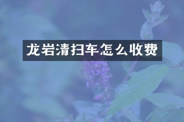 龙岩清扫车怎么收费