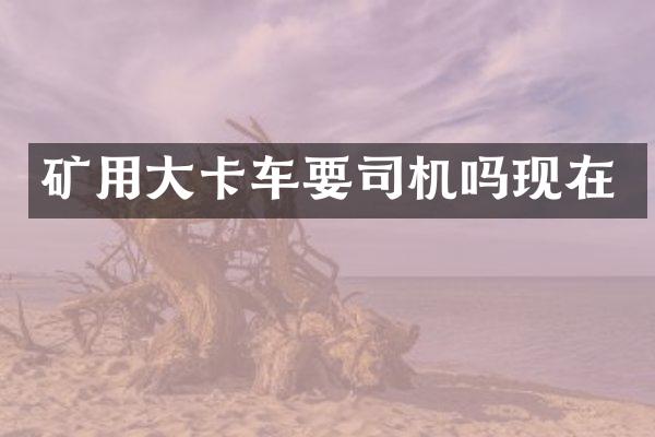矿用大卡车要司机吗现在