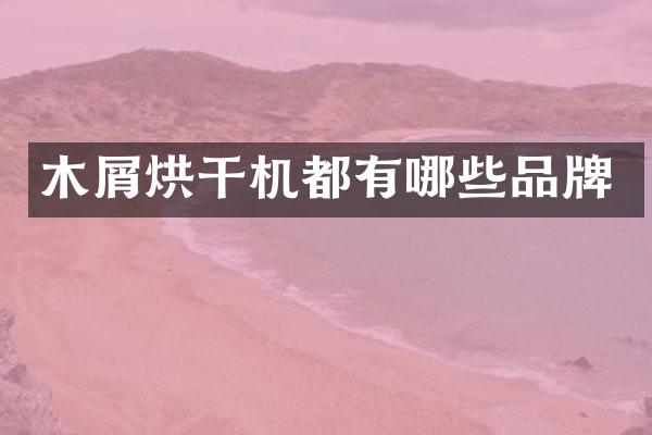 木屑烘干机都有哪些品牌