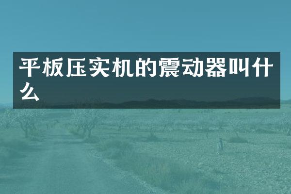 平板压实机的震动器叫什么
