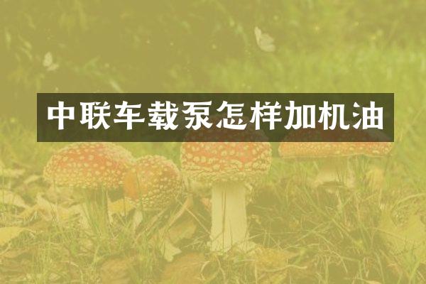 中联车载泵怎样加机油