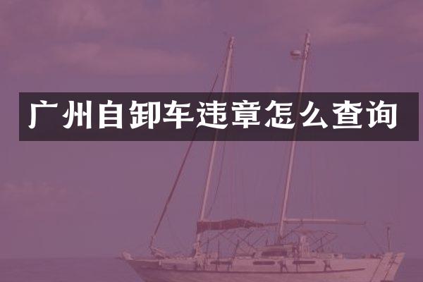 广州自卸车违章怎么查询