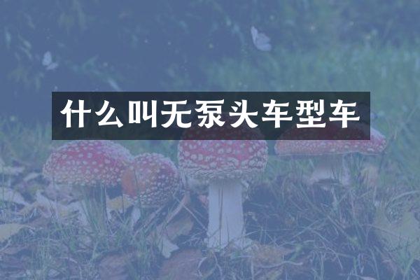 什么叫无泵头车型车
