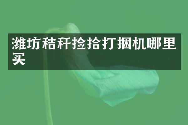 潍坊秸秆捡拾打捆机哪里买