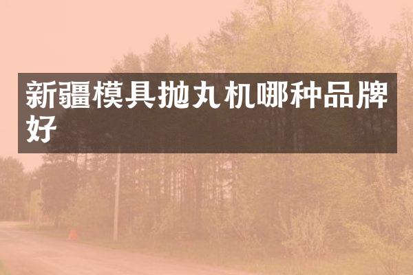 新疆模具抛丸机哪种品牌好