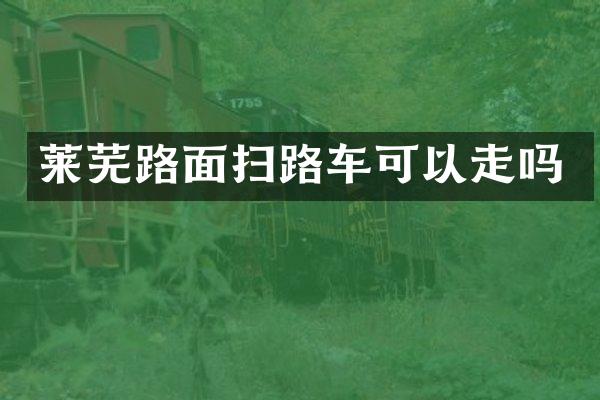 莱芜路面扫路车可以走吗