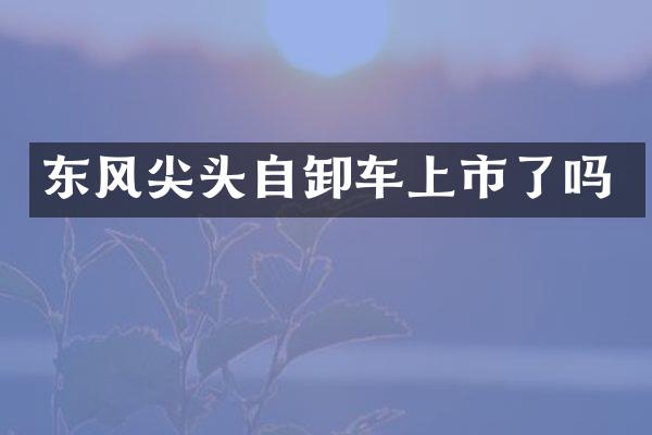 东风尖头自卸车上市了吗