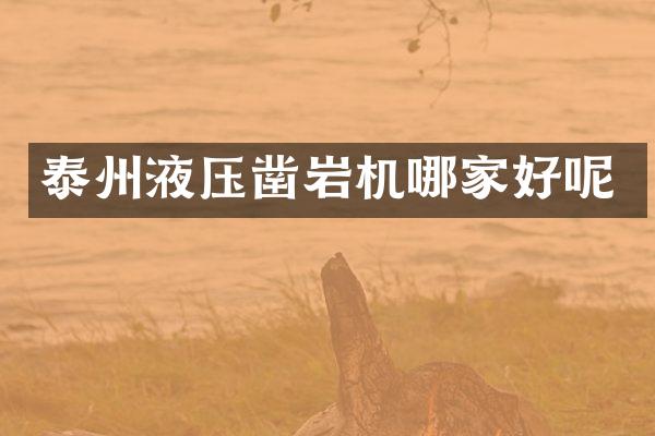 泰州液压凿岩机哪家好呢