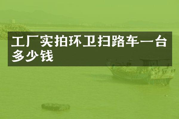 工厂实拍环卫扫路车一台多少钱