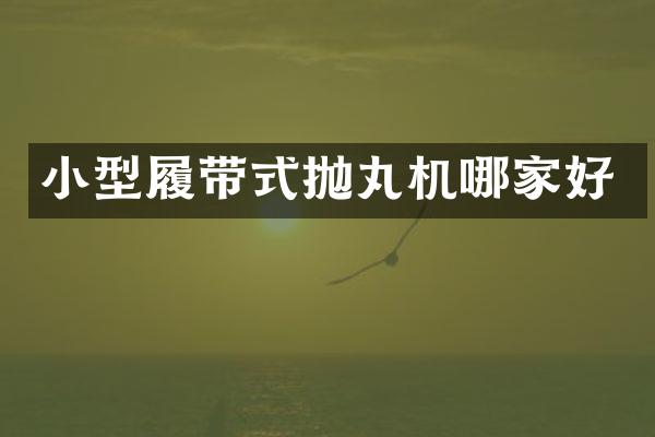 小型履带式抛丸机哪家好