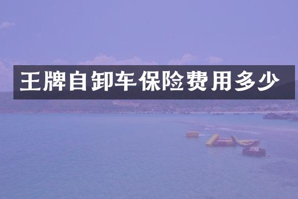 王牌自卸车保险费用多少