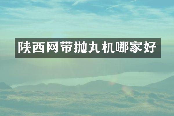 陕西网带抛丸机哪家好