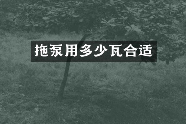 拖泵用多少瓦合适