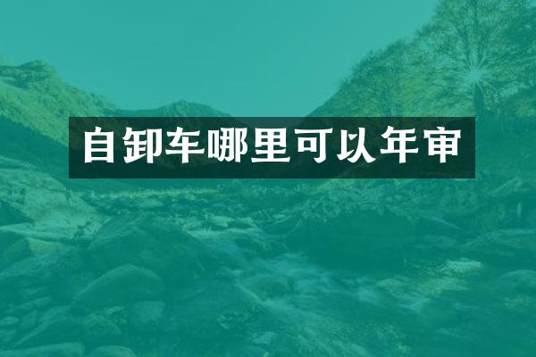 自卸车哪里可以年审