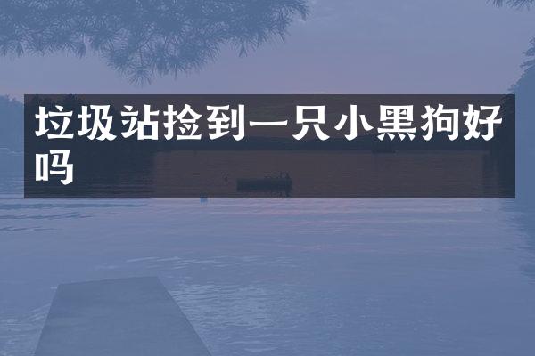 垃圾站捡到一只小黑狗好吗