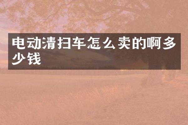 电动清扫车怎么卖的啊多少钱