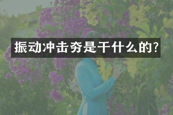 振动冲击夯是干什么的?
