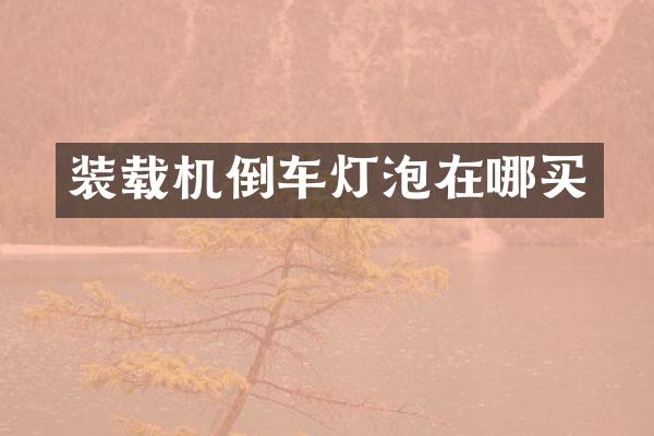 装载机倒车灯泡在哪买