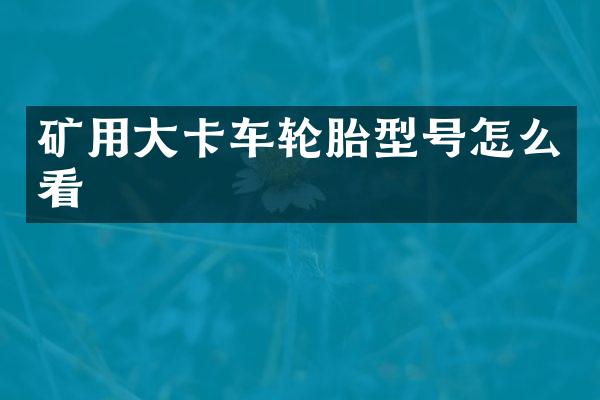 矿用大卡车轮胎型号怎么看